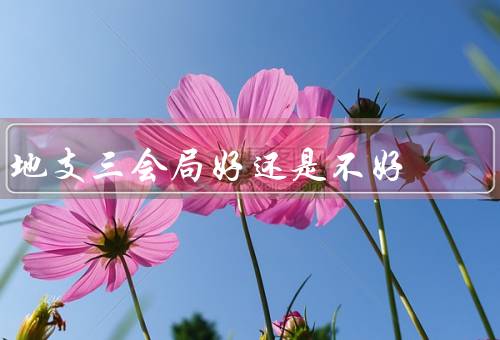 地支三会局好还是不好（好处／不足之处／结论）