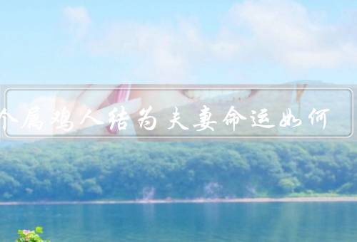两个属鸡人结为夫妻命运如何（相遇缘分、共同成长、幸福美满）