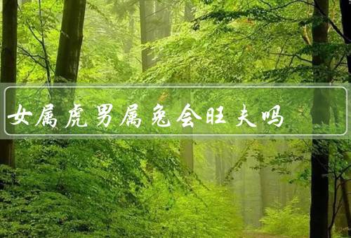 女属虎男属兔会旺夫吗（相互吸引／成长／目标）