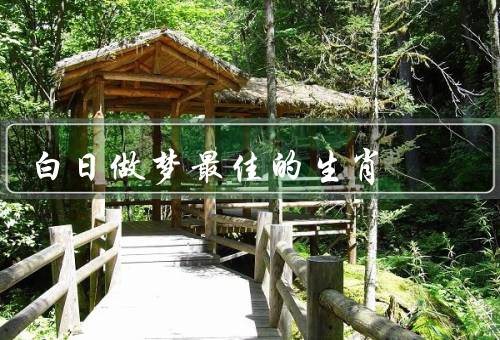 白日做梦最佳的生肖