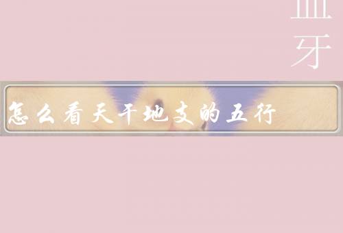 怎么看天干地支的五行，基本概念／与五行的关系