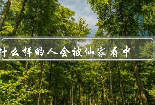 什么样的人会被仙家看中，修为高深、善良正直、悟性
