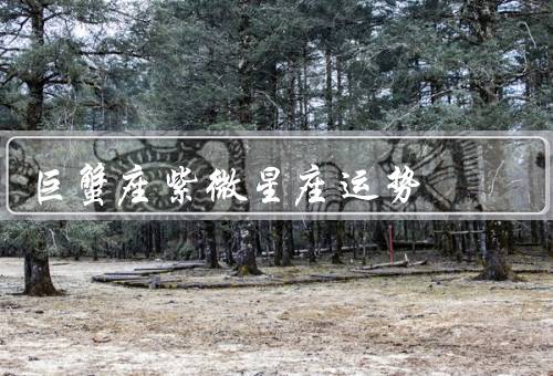 巨蟹座紫微星座运势，事业运势、爱情运势、健康运势