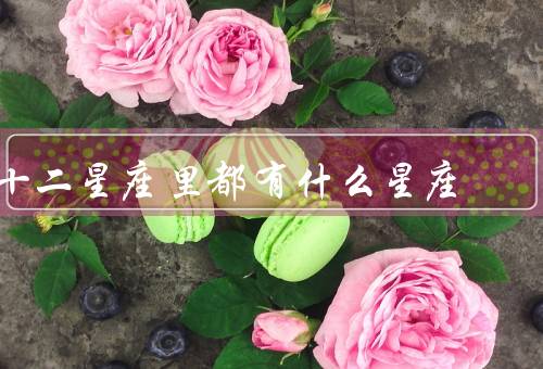 十二星座里都有什么星座，白羊座、金牛座、双子座