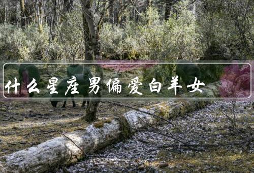 什么星座男偏爱白羊女，独立自主／积极乐观／直率坦诚