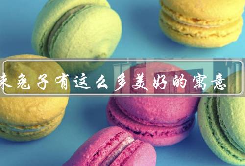 原来兔子有这么多美好的寓意，快乐／和平／聪明