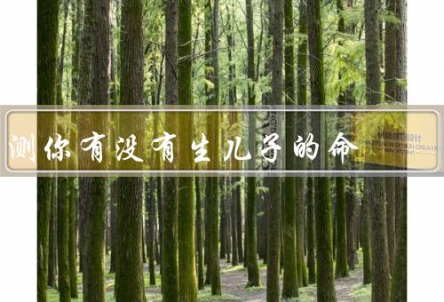 测你有没有生儿子的命，五行生肖法、排卵期测算法、心理因素测算法