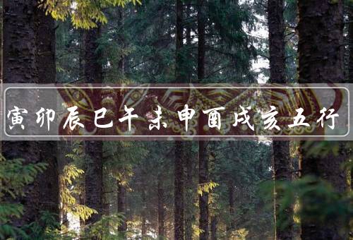 子丑寅卯辰巳午未申酉戌亥五行（含义／作用／总结）