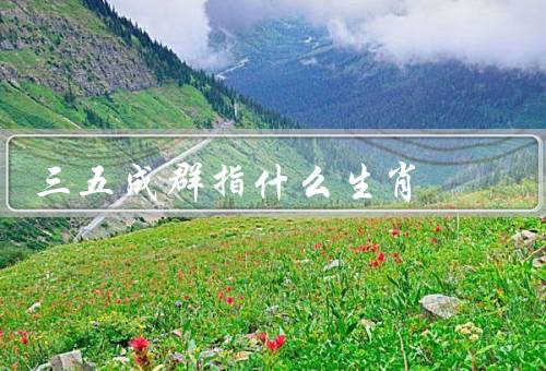 三五成群指什么生肖（属猪、属鼠、属牛的三五成群）