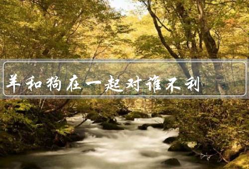 羊和狗在一起对谁不利（斗争关系／竞争资源／传染病传播）