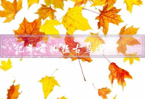 亿年前凶猛古鸟类（凶猛的古鸟类、适应多种环境的特性）