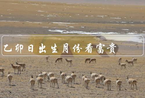 乙卯日出生月份看富贵，正月出生／二月出生／三月出生