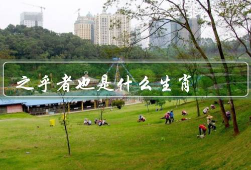 之乎者也是什么生肖，什么生肖／含义／使用场景