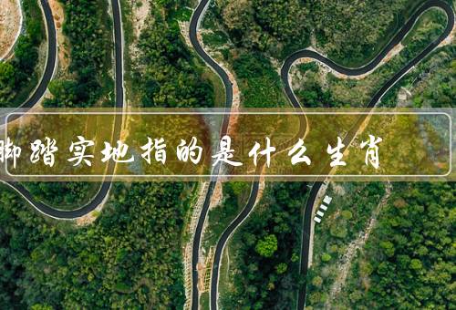 脚踏实地指的是什么生肖，鼠、牛、虎
