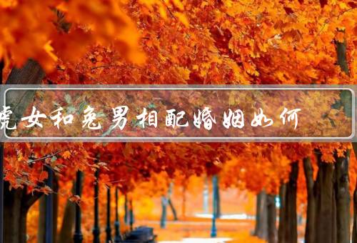 虎女和兔男相配婚姻如何