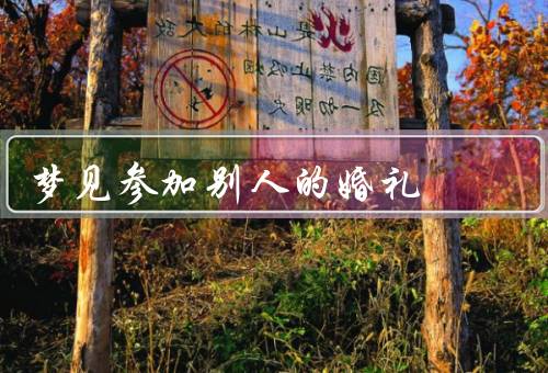 梦见参加别人的婚礼，喜气洋洋的场景、亲友的祝福、自己的感受