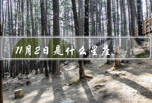 11月2日是什么星座（特点／爱情观／职业选择）