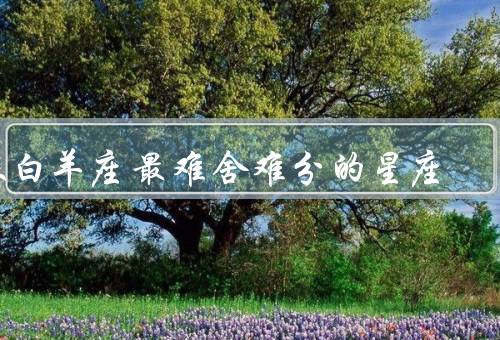 跟白羊座最难舍难分的星座（金牛座／狮子座／射手座）