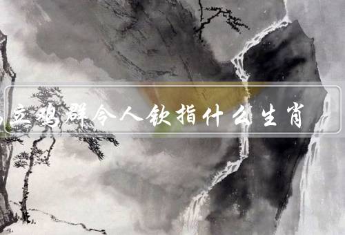 鹤立鸡群令人钦指什么生肖，龙、马、猴
