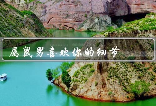 属鼠男喜欢你的细节，细心体贴／为你付出／时刻关注