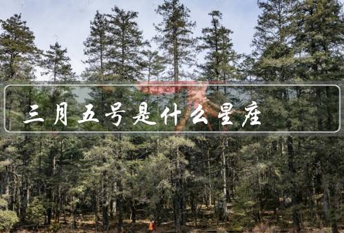 三月五号是什么星座，星座特点、人际关系、事业与发展