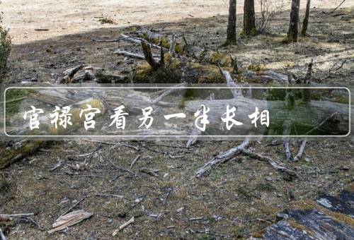 官禄宫看另一半长相，财运、运势