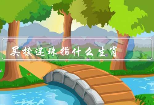 买椟还珠指什么生肖（鼠、蛇、猪）