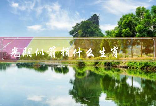 光阴似箭指什么生肖（龙——光阴似箭中的／马——光阴似箭中的奔腾）