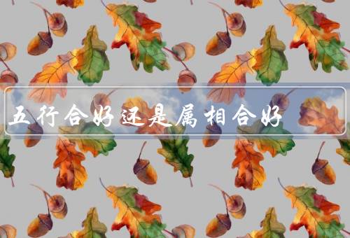 五行合好还是属相合好，重要性／属相合好的重要性