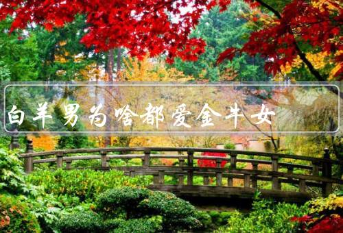 白羊男为啥都爱金牛女，直率真实／独立自主／互补性格