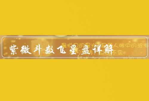 紫微斗数飞星盘详解，紫微星／飞星／星盘图