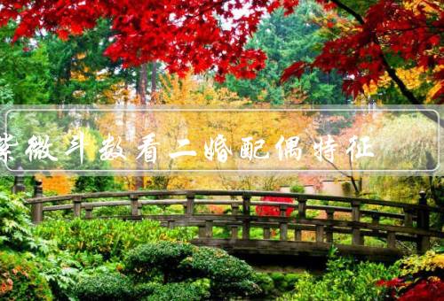 紫微斗数看二婚配偶特征，性格特点、外貌特征、婚姻观念