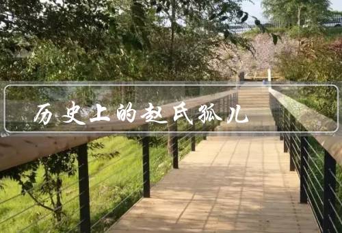 历史上的赵氏孤儿（背景／出生／成长与困境）