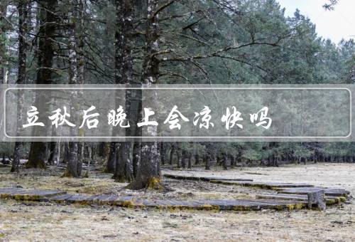 立秋后晚上会凉快吗，秋风送凉意、夜晚的降温、秋天的美好
