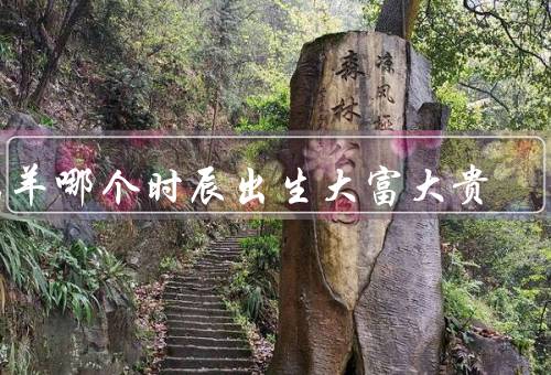 属羊哪个时辰出生大富大贵（为子时的属羊人、午时的属羊人）