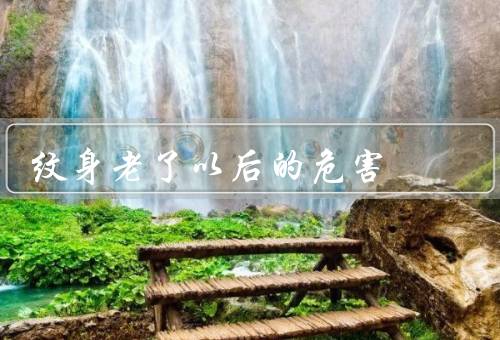 纹身老了以后的危害，随着皮肤老化而改变／可能引发皮肤问题