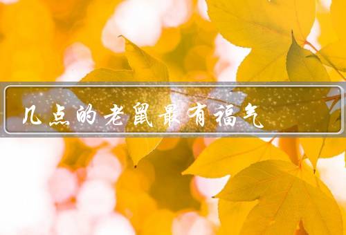 几点的老鼠最有福气，智慧老鼠／幸运老鼠／优雅老鼠