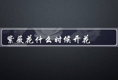 紫薇花什么时候开花（生长环境、时间、特点）