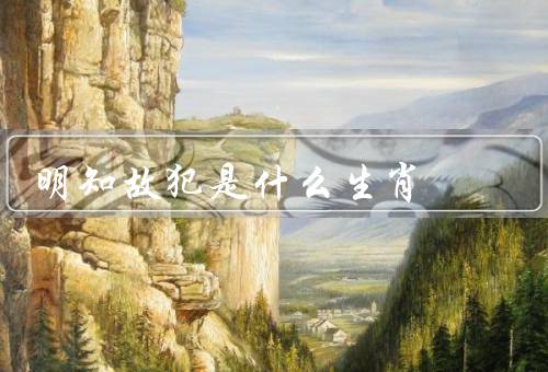 明知故犯是什么生肖