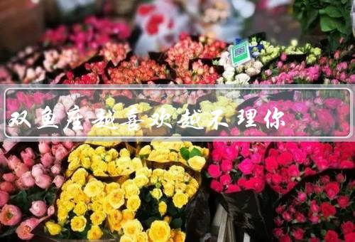 双鱼座越喜欢越不理你，情感世界、独立性、追求完美