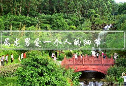 属龙男爱一个人的细节，细心照顾、关注细节、实际行动表达爱意