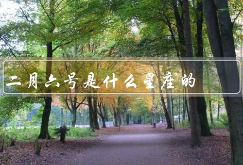 二月六号是什么星座的（特点／爱情观／二月六号人生运势）