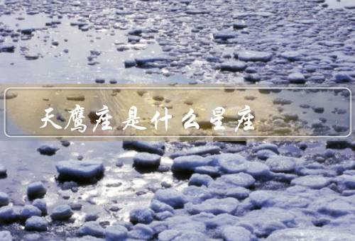 天鹰座是什么星座，特点／神话传说／象征意义