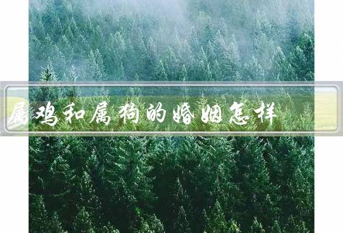 属鸡和属狗的婚姻怎样（互补特点、共同目标、沟通与理解）