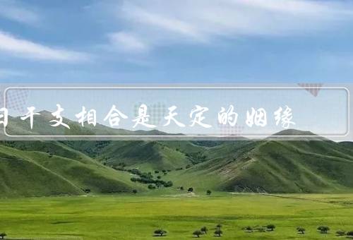 日干支相合是天定的姻缘，意义／影响／结语
