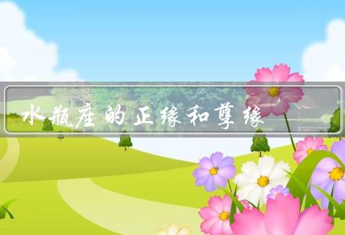 水瓶座的正缘和孽缘，正缘：理解与支持、孽缘：束缚与限制、结语