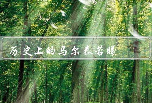 历史上的马尔泰若曦，背景／影响／遗产