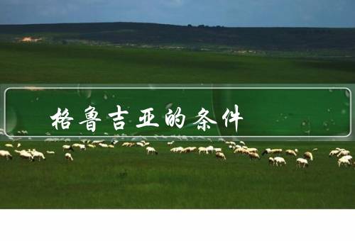 格鲁吉亚移民的条件，居住证明／经济能力／健康证明