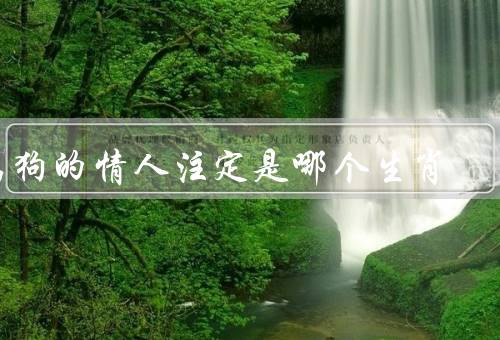 属狗的情人注定是哪个生肖，与属兔的有共同的价值观
