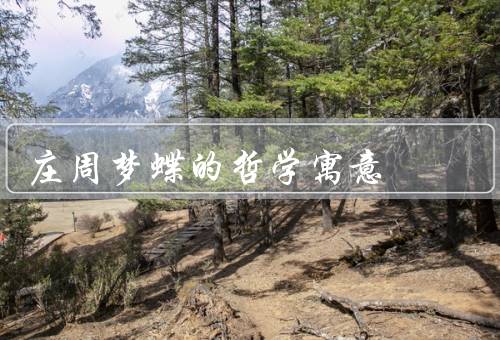庄周梦蝶的哲学寓意